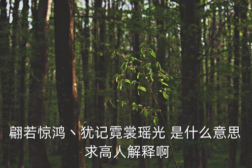 翩若惊鸿丶犹记霓裳瑶光 是什么意思 求高人解释啊