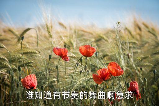 节奏舞蹈歌曲有哪些，谁知道有节奏的舞曲啊急求