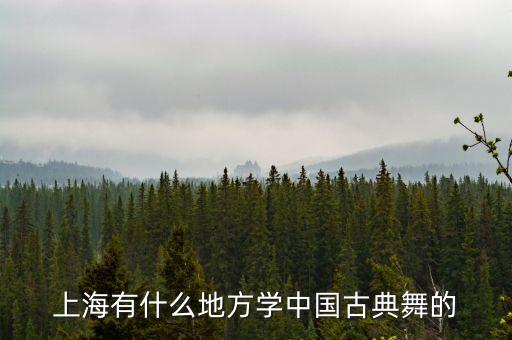上海有什么地方学中国古典舞的