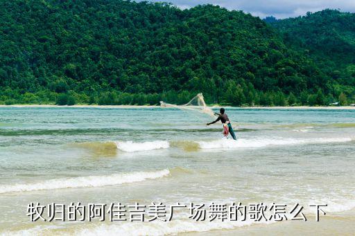 牧归的阿佳吉美广场舞的歌怎么下