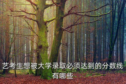 艺考生想被大学录取必须达到的分数线有哪些