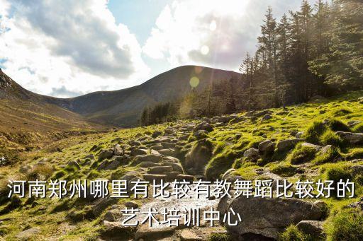 郑州十大舞蹈培训机构，河南郑州哪里有比较有教舞蹈比较好的艺术培训中心