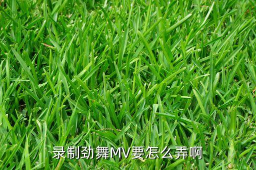 怎么拍舞蹈短片，谁能告诉我劲舞MV怎么做