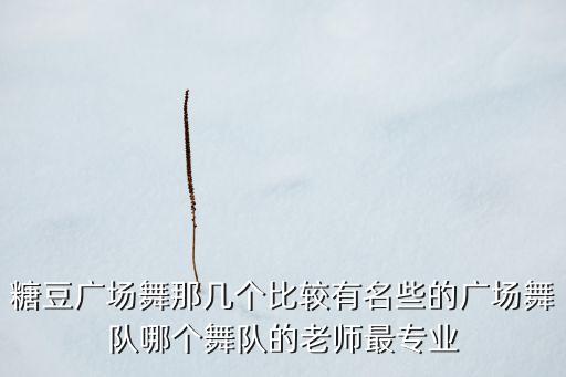 糖豆广场舞那几个比较有名些的广场舞队哪个舞队的老师最专业