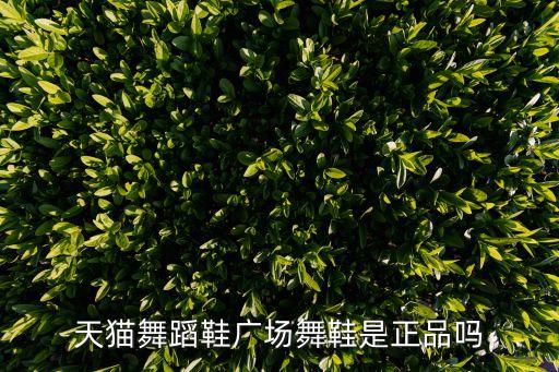 天猫舞蹈鞋广场舞鞋是正品吗