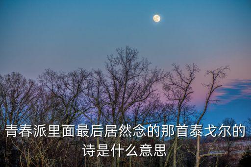 青春派里面最后居然念的那首泰戈尔的诗是什么意思