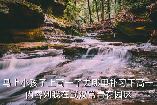 马上小孩子上高一了去哪里补习下高一内容列我在武汉常青花园这