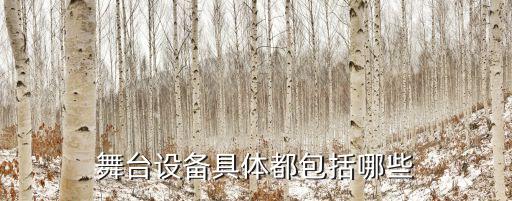 舞蹈室需要哪些器具，我想在家里建一个小型的舞蹈室要求有那些硬件