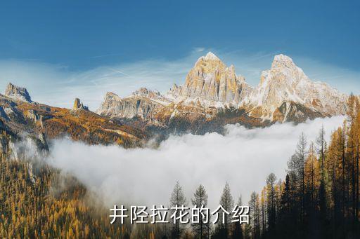 井陉拉花的介绍