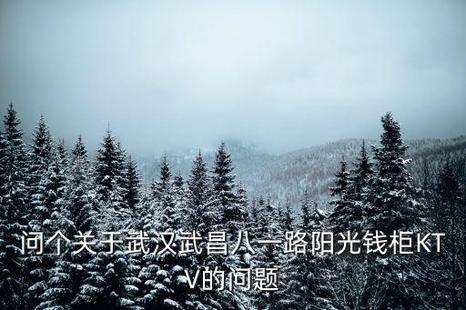 问个关于武汉武昌八一路阳光钱柜KTV的问题