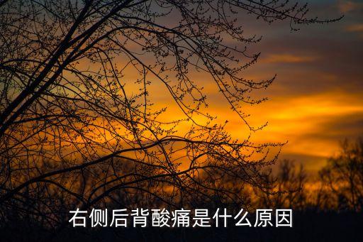 右侧后背酸痛是什么原因
