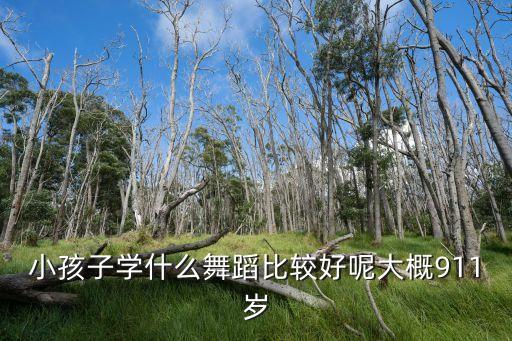 小孩子学什么舞蹈比较好呢大概911岁