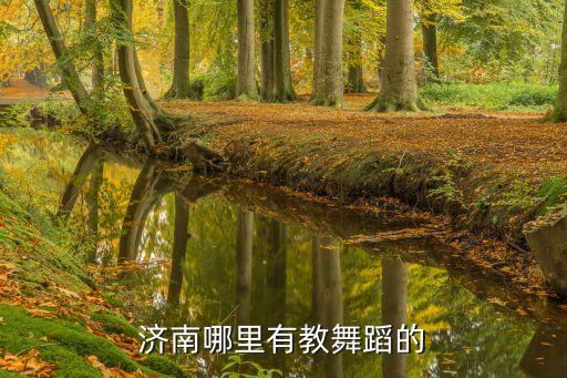 济南成人舞蹈班培训零基础，济南哪里有成人舞蹈班啊