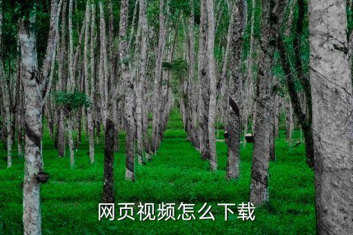网页视频怎么下载