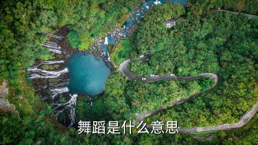 舞蹈是什么意思