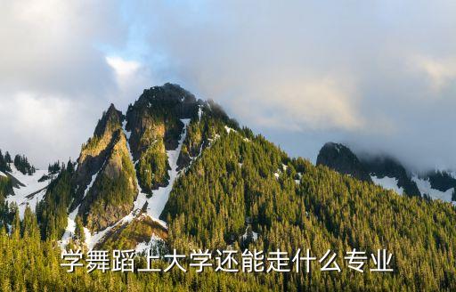 学舞蹈上大学还能走什么专业