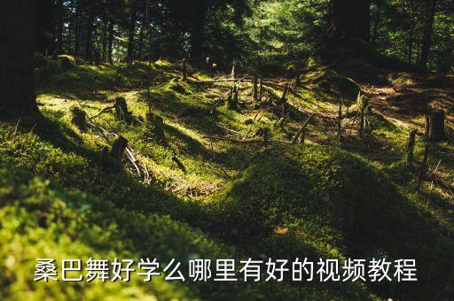 桑巴舞基本步教学视频第一讲，桑巴舞好学么哪里有好的视频教程