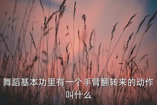 舞蹈基本功里有一个手臂翻转来的动作叫什么