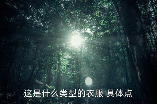 这是什么类型的衣服 具体点