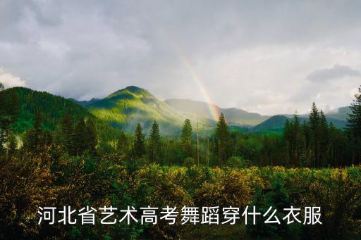 河北省艺术高考舞蹈穿什么衣服