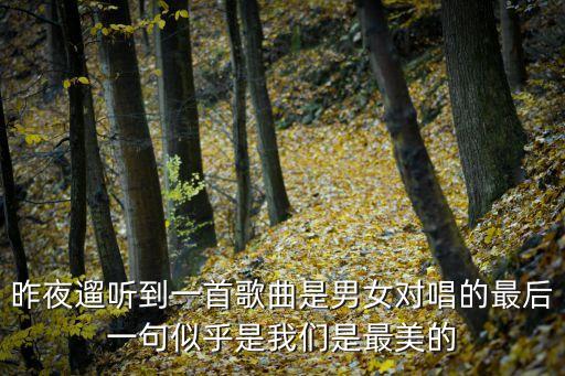小君广场舞爱如星火，昨夜遛听到一首歌曲是男女对唱的最后一句似乎是我们是最美的