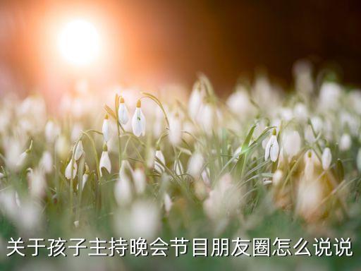 关于孩子主持晚会节目朋友圈怎么说说