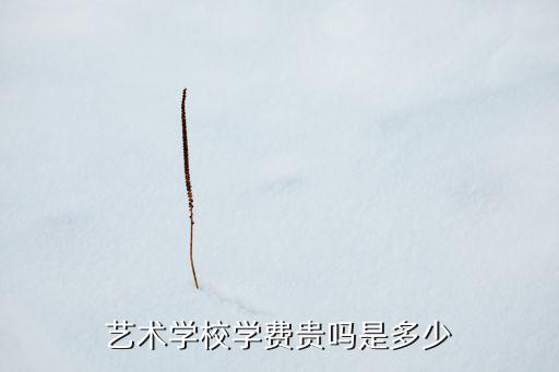 艺术学校学费贵吗是多少