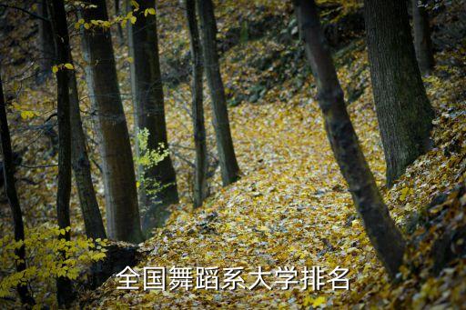 成人舞蹈学院排名榜，哪个大学有成教 要有舞蹈专业的 好一点的 谢谢