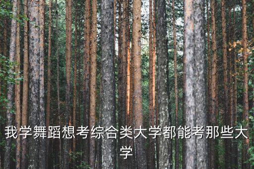 我学舞蹈想考综合类大学都能考那些大学