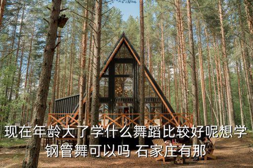 现在年龄大了学什么舞蹈比较好呢想学钢管舞可以吗 石家庄有那