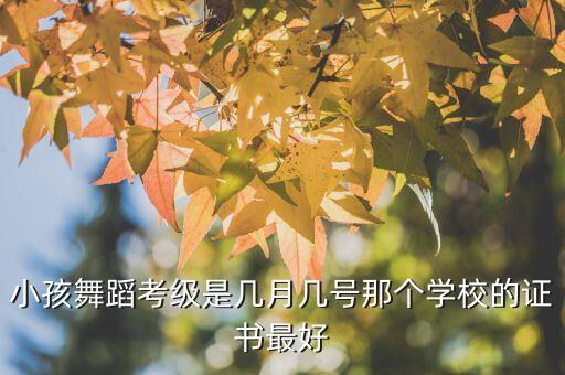 小孩舞蹈考级是几月几号那个学校的证书最好