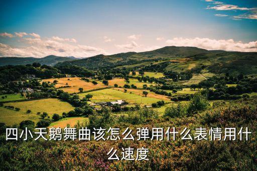 四小天鹅舞曲该怎么弹用什么表情用什么速度