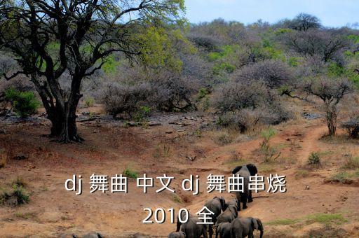 dj 舞曲 中文 dj 舞曲串烧 2010 全