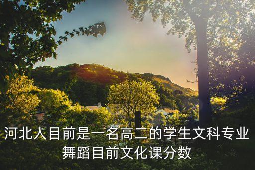 河北人目前是一名高二的学生文科专业舞蹈目前文化课分数