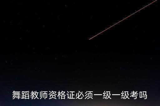 舞蹈教师资格证必须一级一级考吗