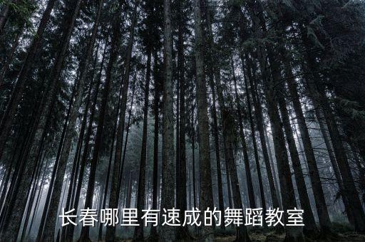 长春哪里有学舞蹈老师，长春哪里可以学舞蹈