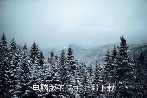 电脑版的快手上哪下载