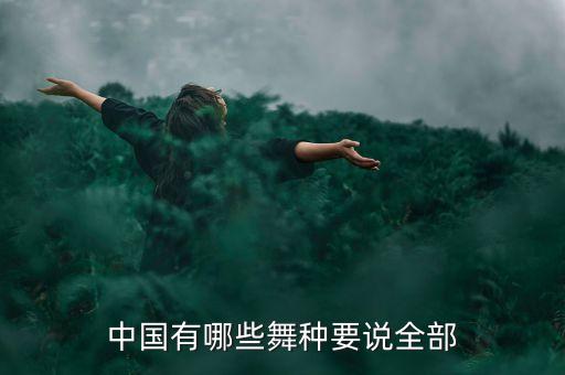 中国有哪些舞种要说全部