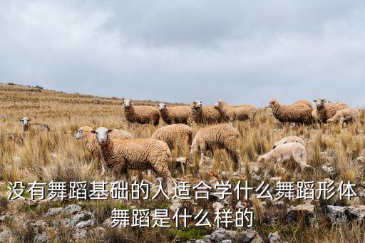 形体舞蹈学什么，女孩练形体学什么舞蹈