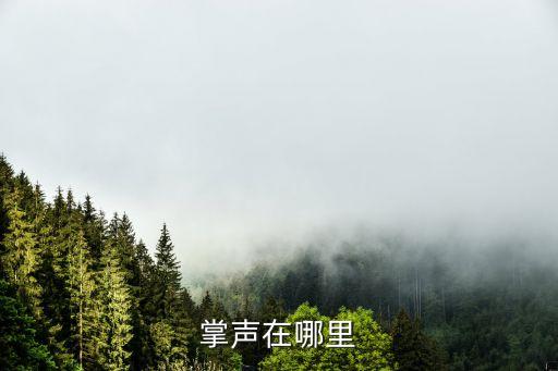广场你的掌声在哪里，的广场的城楼的掌声在填上合适的词语