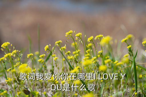 歌词我爱你你在哪里I LOVE YOU是什么歌