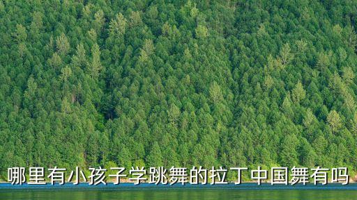 哪里有小孩子学跳舞的拉丁中国舞有吗