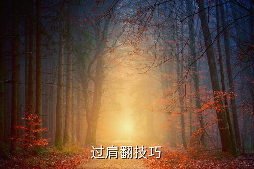 过肩翻技巧