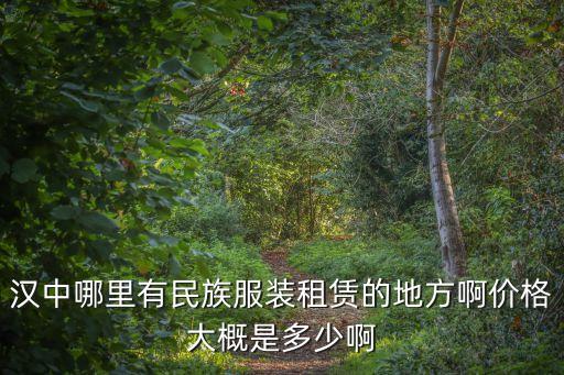汉中哪里有民族服装租赁的地方啊价格大概是多少啊