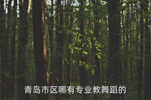 青岛市区哪有专业教舞蹈的