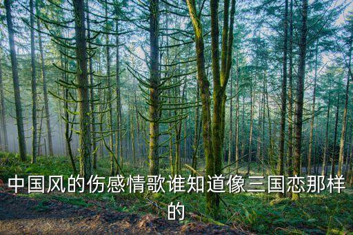 中国风的伤感情歌谁知道像三国恋那样的