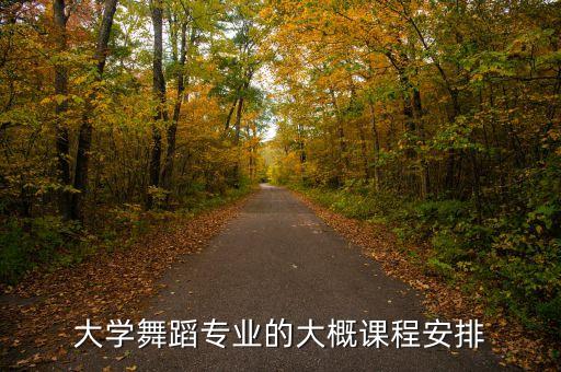 大学舞蹈专业的大概课程安排