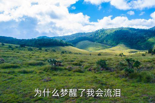 为什么梦醒了我会流泪