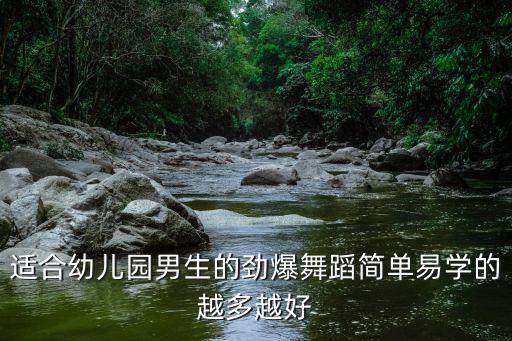 适合幼儿园男生的劲爆舞蹈简单易学的越多越好
