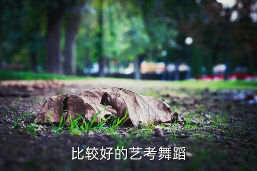 比较好的艺考舞蹈
